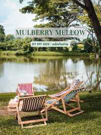 Mulberry Mellow คาเฟ่ในสวนที่เสมือนหลุดไปอีกโลก