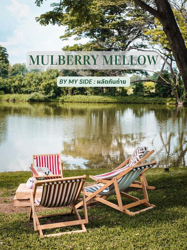 Mulberry Mellow คาเฟ่ในสวนที่เสมือนหลุดไปอีกโลก