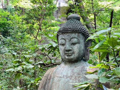 🇯🇵 Nezu Museum: A Quiet Art Treasure in Tokyo | Trip.com Tokyo
