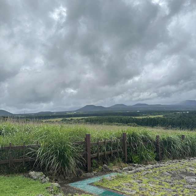 濟州島必訪景點：君山不離、牛島和山茶花之丘