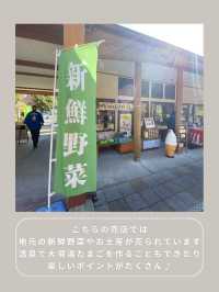【静岡】わんこと行ける温泉公園♨️