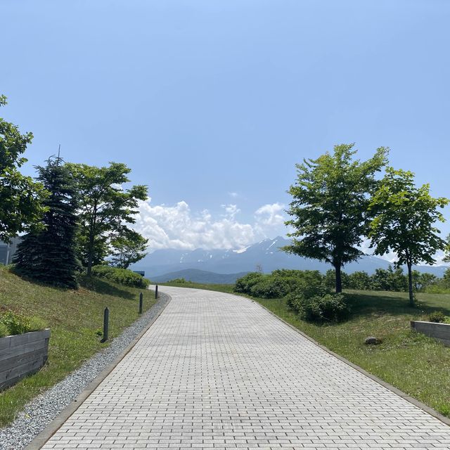 北海道大雪森之花園：夏日夢幻花海之旅
