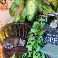 ร้านลับ 