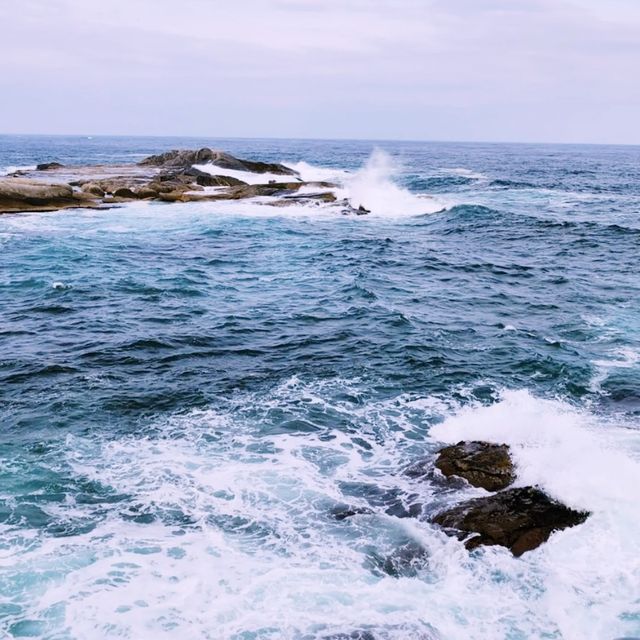 🌊속초 동명항을 지키는 에너지넘치는 정자 영금정