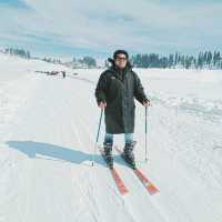 Gulmarg -The Heaven 