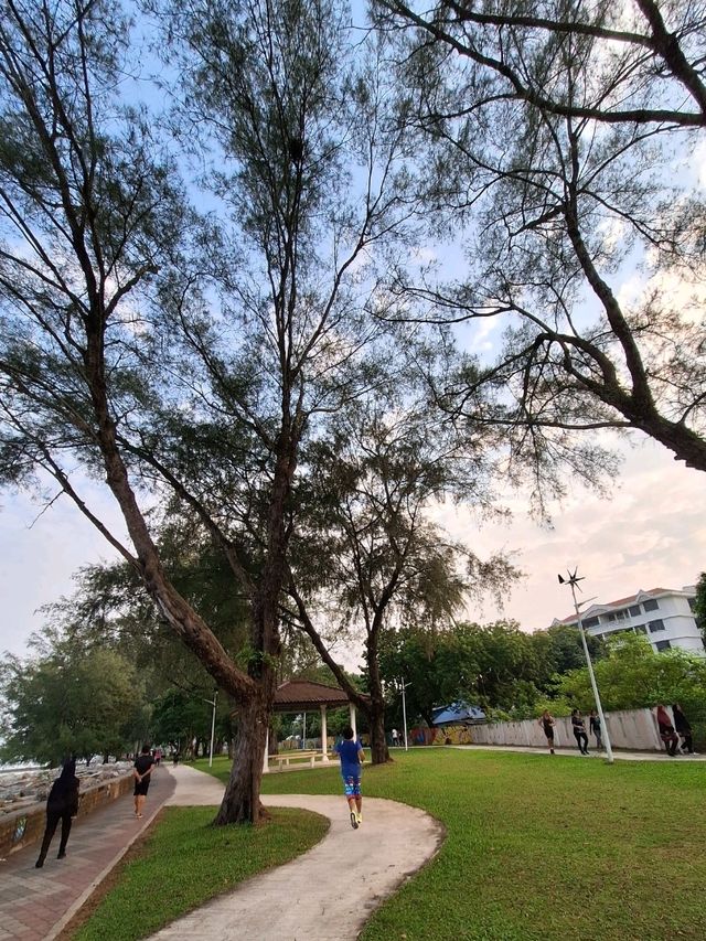 🏃‍♂️ Morning Walks @ Robina Ecopark