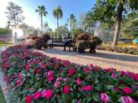 Nong Buak Haad Public Park