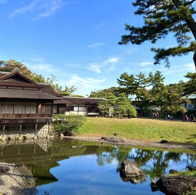 🚟 요코하마의 고즈넉하고 평화로운 일본식 전통정원 산케이엔을 방문해보세요💕 