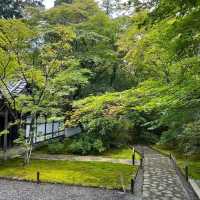 苔寺🕉充滿意境的「西芳寺」