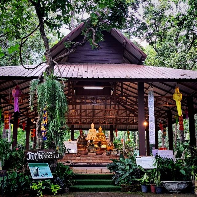 วัดกู่ดินขาว  สวนสัตว์เชียงใหม่