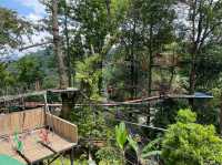 🌳 森林穿梭打卡｜必玩自駕過山車🎢🇹🇭