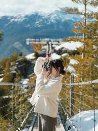 🇨🇦 來加拿大不可錯過的 畢生難忘 最美風景纜車 Sea to Sky Gondola🚡