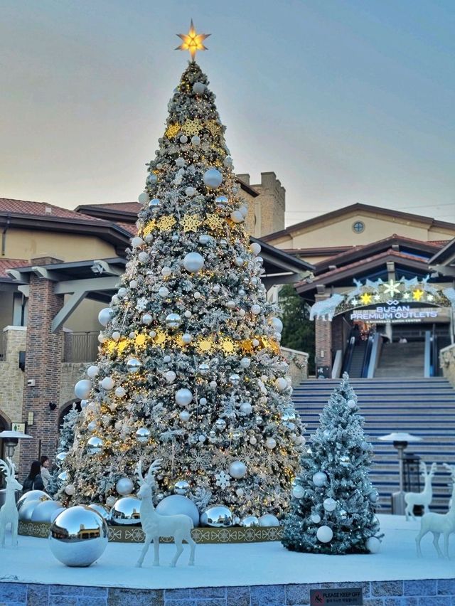 부산 화이트트리는 여기가 원탑🎄