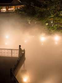 【日本でオーロラが見れる！？✨】椿山荘ではオーロラと雲海が同時に見れる！😳