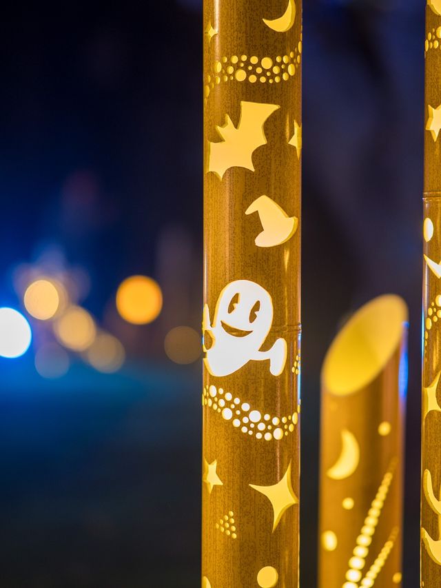 【竹あかり×ハロウィン🎃】無料で見れる美しいハロウィン体験しませんか？☺️✨