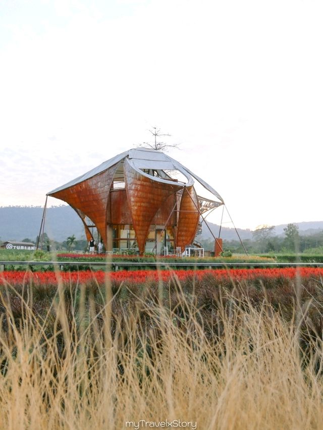 Bliss & Bloom Cafe ทับลาน