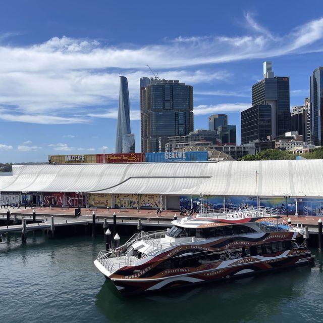 Stunning Darling Harbour from the bridge