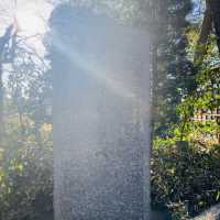 多摩川が一望できる絶景 - 多摩川浅間神社 -