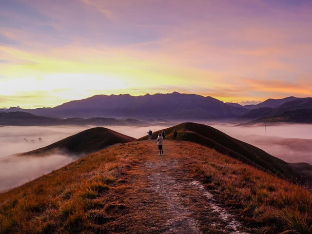 ภูหัวโล้น ⛰️ 🚩 ประเทศลาว 🇱🇦