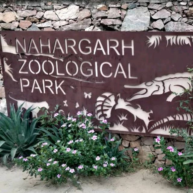 Nahargarh Biological Park
