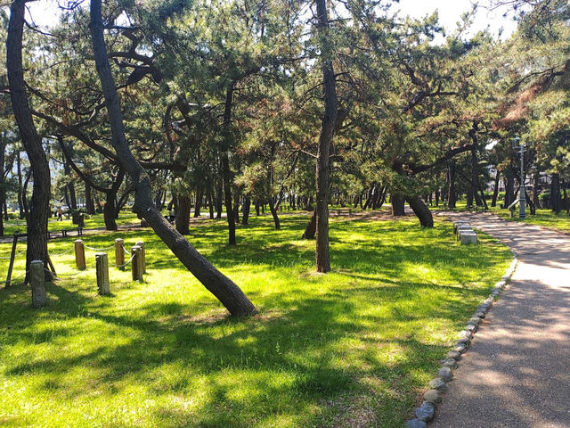 Hyogo Prefectural Maiko Park 