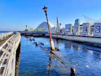 Port of Kobe Earthquake Memorial Park