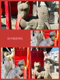 【田中稲荷神社/東京都】尻尾の太く可愛いらしい狐像がお出迎え