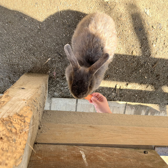 久山ふれあい動物園