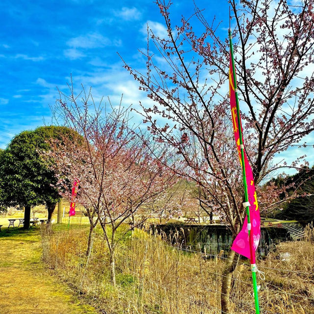 おちばの里親水公園