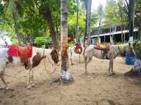 Tamarindo Beach