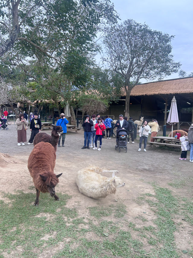 ［新竹/北埔］綠世界生態農場🦩｜超多動物可以近距離觀察 連植物都很多樣