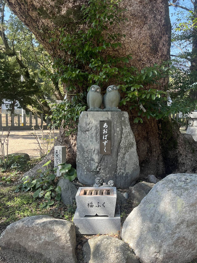 【福岡神社】3月からさくらも見られる素敵な神社