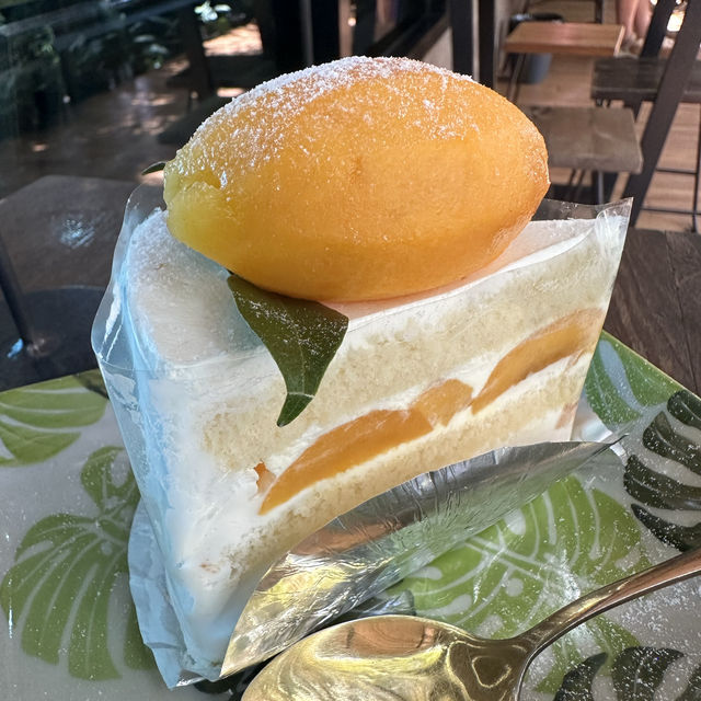 เอวา คาเฟ่🍰ร้านกาแฟ กม.48