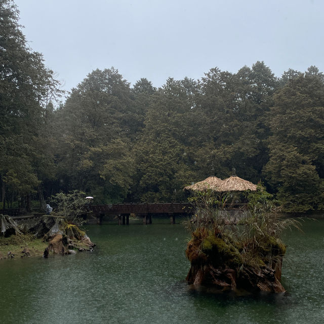 Chilly hike at Alishan