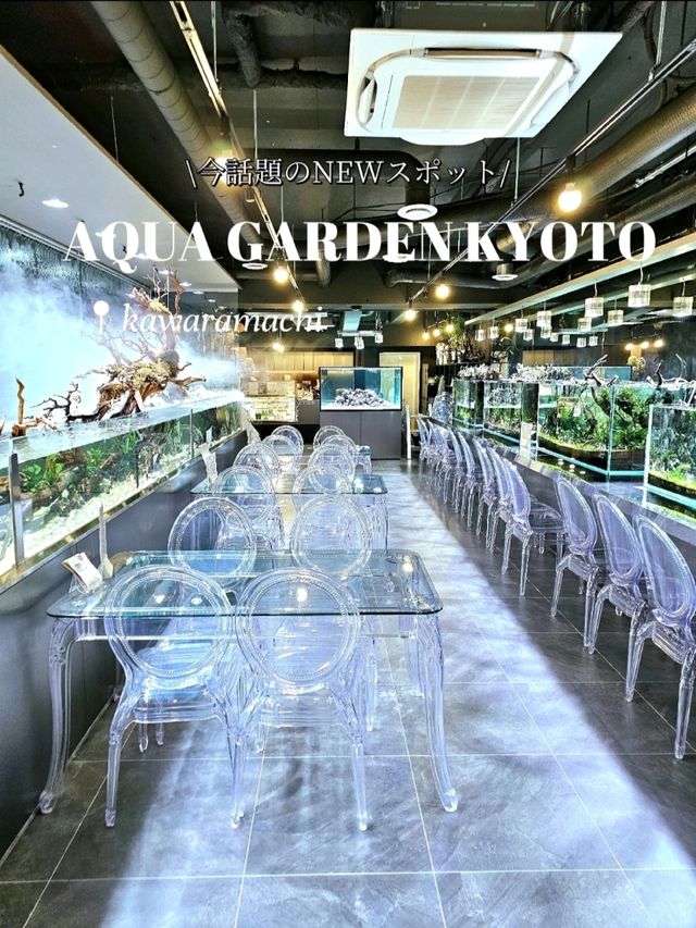 【京都/今超絶話題】映えが過ぎる！⚠️出来たてホヤホヤの新スポット、日本に初上陸🖐