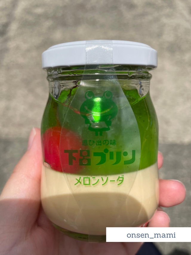 【岐阜 下呂温泉】下呂温泉のお土産におすすめ♨️下呂プリン🍮