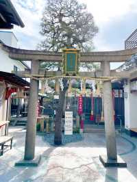 【京都】女性のすべての願いを叶える守り神⛩市比賣神社