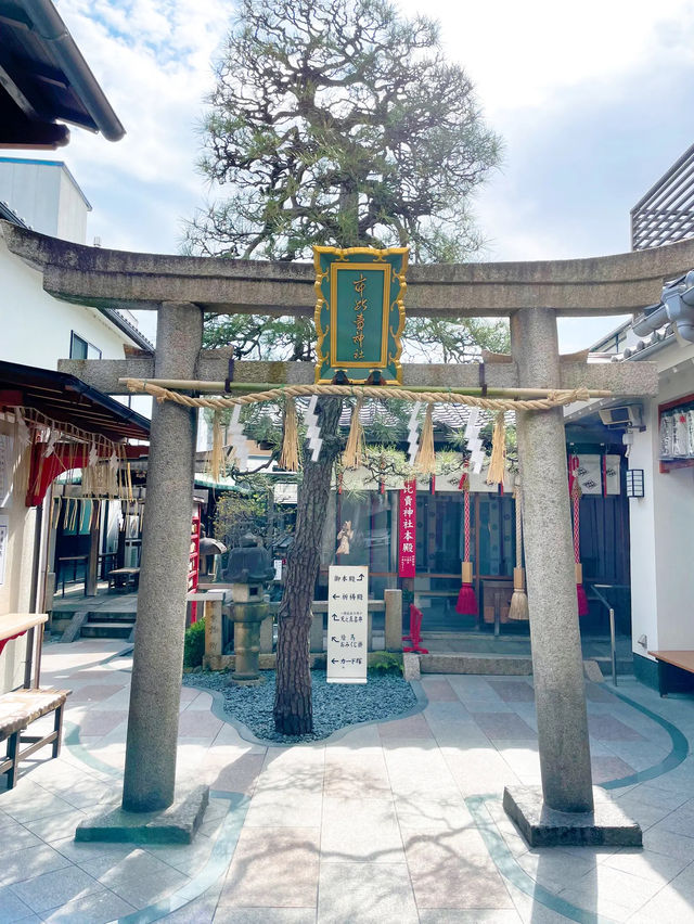 【京都】女性のすべての願いを叶える守り神⛩市比賣神社