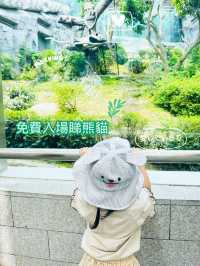免費親子活動❣️睇熊貓🐼
