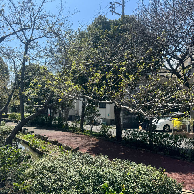 【限時優惠】葛西親水四季之美，享受舒適時光