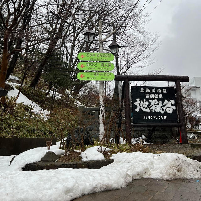  Jigokudani (Hell Valley) - หุบเขานรก