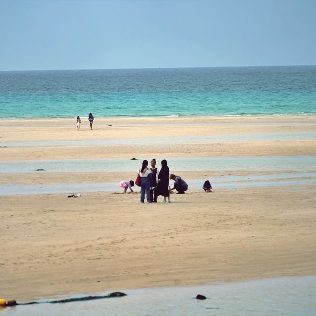 🌴 준비없이 찾아가도 즐겁고 행복한 시간, 금능해변