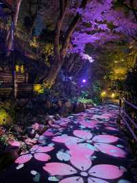 【東京】絶対に行ってほしい✨幻想的な世界