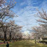 福島開成山公園：福島境內四座寶可夢公園之一，吉利蛋公園