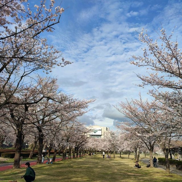 福島開成山公園：福島境內四座寶可夢公園之一，吉利蛋公園