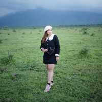 National park Baluran (Banyuwangi)