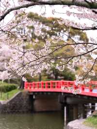 甘木公園　📍福岡