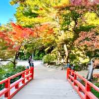 【宮島ロープウェイ/広島県】御神体の弥山へと誘う道