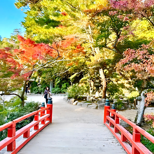 【宮島ロープウェイ/広島県】御神体の弥山へと誘う道