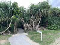 沖縄・石垣島。地元の方にオススメされたビーチ『マエサトビーチ』